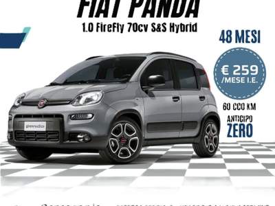 Fiat Panda 1.0 FireFly S&S Hybrid Launch Ed. Grigio usata Jerago con Orago