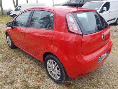 Fiat Punto FIAT PUNTO GPL Rosso usata Lagosanto