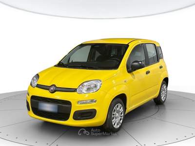 Fiat Panda 1.0 hybrid 70cv pop Giallo usata Cerea