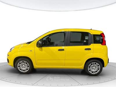 Fiat Panda 1.0 hybrid 70cv pop Giallo usata Cerea