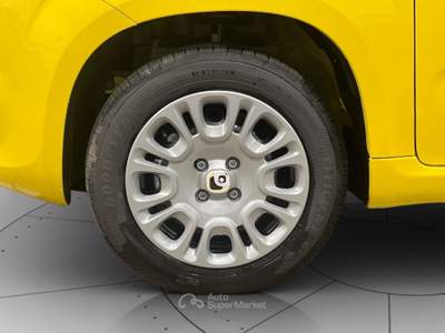 Fiat Panda 1.0 hybrid 70cv pop Giallo usata Cerea