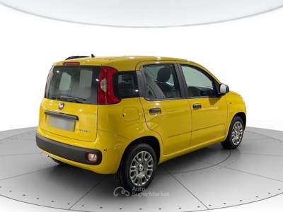 Fiat Panda 1.0 hybrid 70cv pop Giallo usata Cerea