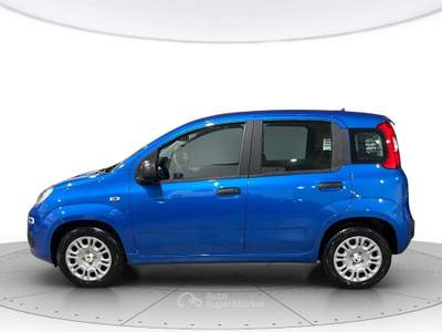 Fiat Panda 1.0 hybrid 70cv pop Blu/Azzurro usata Verona