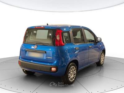 Fiat Panda 1.0 hybrid 70cv pop Blu/Azzurro usata Verona