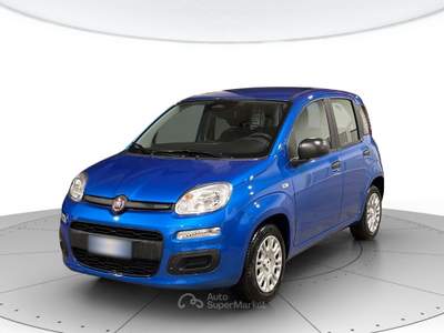 Fiat Panda 1.0 hybrid 70cv pop Blu/Azzurro usata Verona