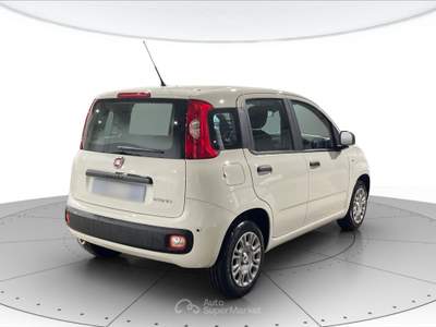 Fiat Panda 1.0 hybrid 70cv pop Bianco usata Cerea