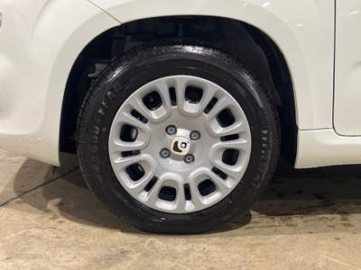 Fiat Panda 1.0 hybrid 70cv pop Bianco usata Cerea
