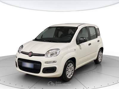 Fiat Panda 1.0 hybrid 70cv pop Bianco usata Cerea