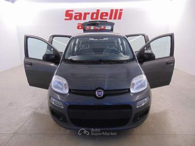 Fiat Panda 1.0 FireFly S&S Hybrid Grigio usata San Vito dei Normanni