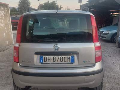 Fiat Panda FIAT PANDA NATURAL POWER usata Maddaloni