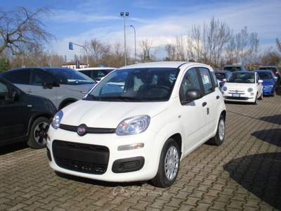 Fiat Panda 1.0 FireFly S&S Hybrid - Sensori/Bluetooth Bianco usata Mogliano Veneto
