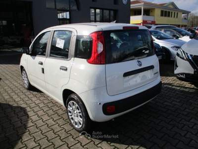 Fiat Panda 1.0 FireFly S&S Hybrid - Sensori/Bluetooth Bianco usata Mogliano Veneto