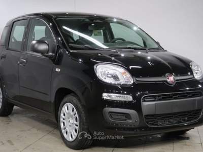 Fiat Panda 1.0 FireFly S&S Hybrid - Sensori/Bluetooth Nero usata Mogliano Veneto