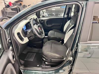 Fiat Panda 1.0 FireFly S&S Hybrid Pandina / Cross Verde usata Pieve di Soligo