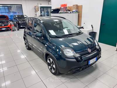 Fiat Panda 1.0 FireFly S&S Hybrid Pandina / Cross Verde usata Pieve di Soligo