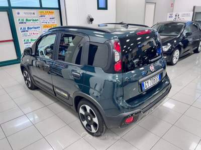 Fiat Panda 1.0 FireFly S&S Hybrid Pandina / Cross Verde usata Pieve di Soligo