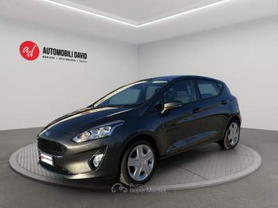 Ford Fiesta 1.5 TDCi 5 porte Titanium Grigio usata Maniago