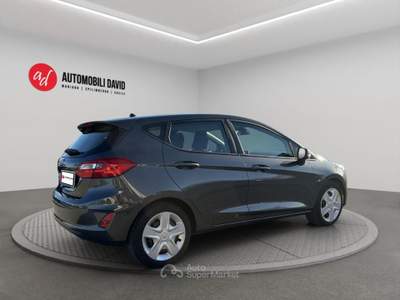 Ford Fiesta 1.5 TDCi 5 porte Titanium Grigio usata Maniago