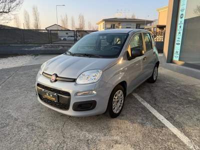 Fiat Panda 1.2 Easy easypower Gpl 69cv my19 Grigio usata Coccaglio