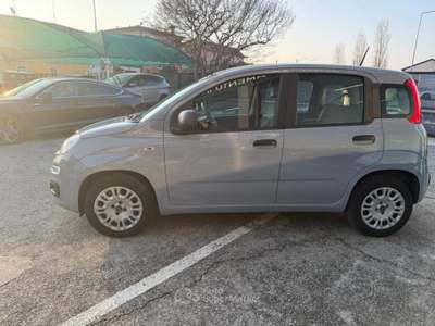 Fiat Panda 1.2 Easy easypower Gpl 69cv my19 Grigio usata Coccaglio