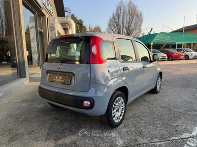 Fiat Panda 1.2 Easy easypower Gpl 69cv my19 Grigio usata Coccaglio