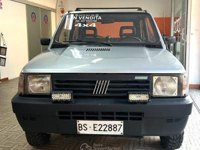 Fiat Panda 1.0 4x4 my86 Argento usata BRESCIA