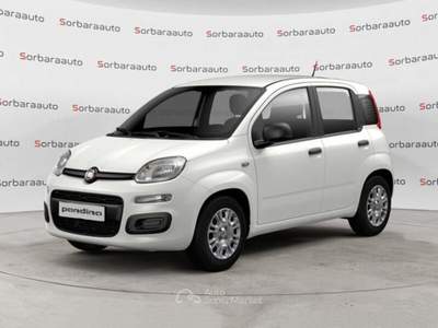 Fiat Pandina 1.0 FireFly S&S Hybrid Icon Bianco usata VAREDO