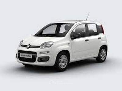 Fiat Panda 1.0 70cv Hybrid Icon Bianco usata Torino