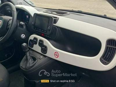 Fiat Panda FireFly S&S Hybrid Pandina usata Anzio