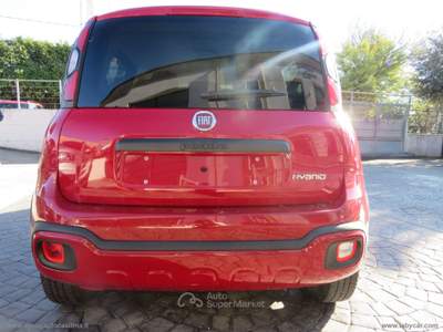 Fiat Panda Panda 1.0 FireFly S&S Hybrid City Cross Rosso usata Anagni