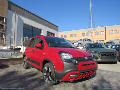 Fiat Panda Panda 1.0 FireFly S&S Hybrid City Cross Rosso usata Anagni