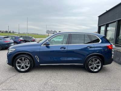 BMW X5 X5 xDrive30d xLine INDIVIDUAL Blu/Azzurro usata Cerea