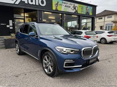 BMW X5 X5 xDrive30d xLine INDIVIDUAL Blu/Azzurro usata Cerea