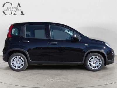 Fiat Pandina 1.0 firefly hybrid s&amp;s 70cv KM0! usata Rovigo
