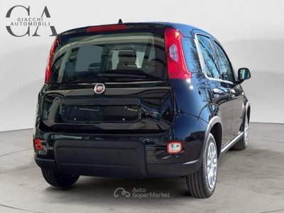 Fiat Pandina 1.0 firefly hybrid s&amp;s 70cv KM0! usata Rovigo