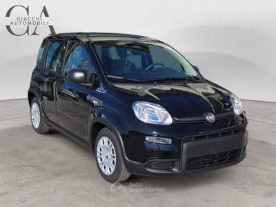 Fiat Pandina 1.0 firefly hybrid s&amp;s 70cv KM0! usata Rovigo
