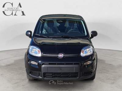 Fiat Pandina 1.0 firefly hybrid s&amp;s 70cv KM0! usata Rovigo