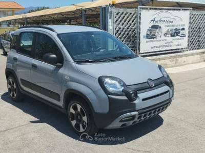 Fiat Panda 1.0 FireFly S&S Hybrid City Cross Grigio usata Saviano