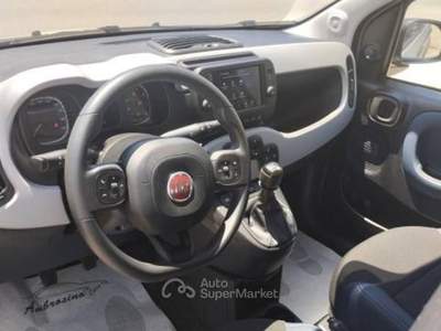 Fiat Panda 1.0 FireFly S&S Hybrid City Cross Grigio usata Saviano
