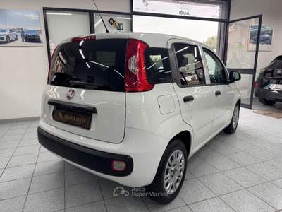 Fiat Panda  1.3 MJT 80 CV S&S Lounge Bianco usata Andria