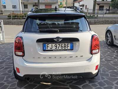MINI Countryman 2.0 Cooper D Jungle Countryman Bianco usata Trebaseleghe