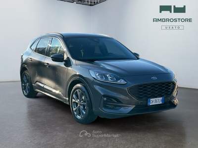 Ford Kuga  - kuga 1.5 ecoblue st-line 2wd 120cv auto Grigio usata Segrate