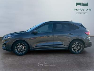 Ford Kuga  - kuga 1.5 ecoblue st-line 2wd 120cv auto Grigio usata Segrate