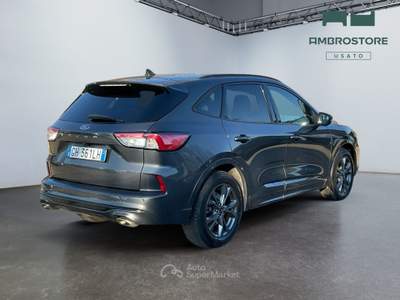 Ford Kuga  - kuga 1.5 ecoblue st-line 2wd 120cv auto Grigio usata Segrate