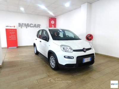 Fiat Panda 1.0 FireFly S&S Hybrid Bianco usata Isola del Liri