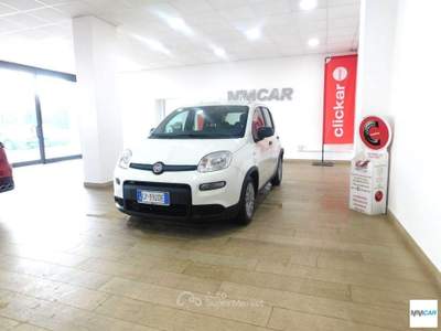 Fiat Panda 1.0 FireFly S&S Hybrid Bianco usata Isola del Liri