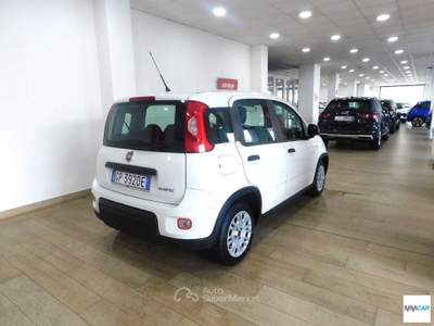 Fiat Panda 1.0 FireFly S&S Hybrid Bianco usata Isola del Liri