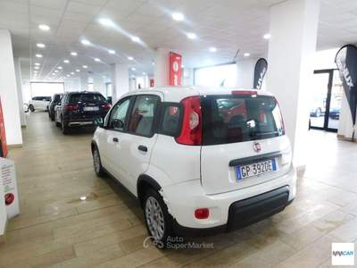 Fiat Panda 1.0 FireFly S&S Hybrid Bianco usata Isola del Liri