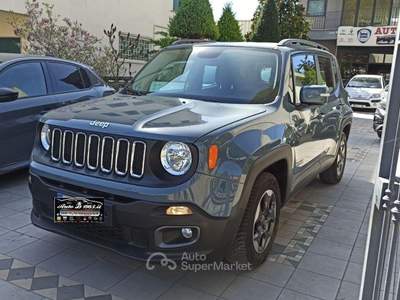 Jeep Renegade 1.6 Mjt 105CV Business Grigio usata Castrovillari