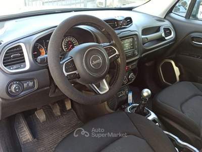 Jeep Renegade 1.6 Mjt 105CV Business Grigio usata Castrovillari